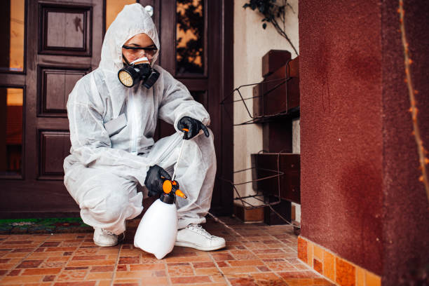 Reliable Cockroach Control contractor in Point Pleasant, WV by Nex Pest Control